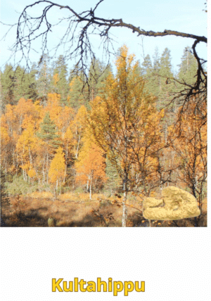 Kultahippu 0.18 gr 5x3mm Arctic Gold Lappi