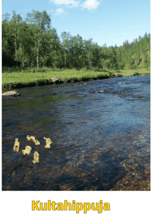 Kultahippuja 0.30g 5kpl  4-7mm Lapista