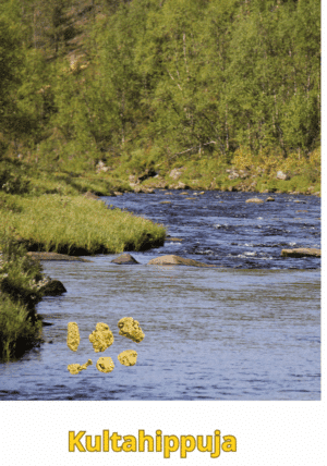 Kultahippuja 0.86g 6kpl läpimitta 3-5mm Lapista