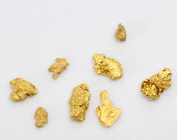 PIKKUHIPUT keräilyyn ja vaskausharjoituksiin