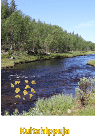 Kultahippuja 0.46g 10kpl läpimitta 3-5mm Lapista