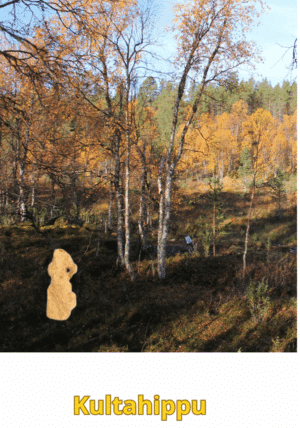 Kultahippu 0.19 g 4x8mm Arctic Gold nugget