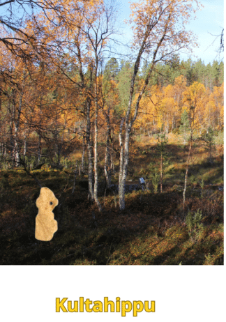 Kultahippu 0.19 g 4x8mm Arctic Gold nugget