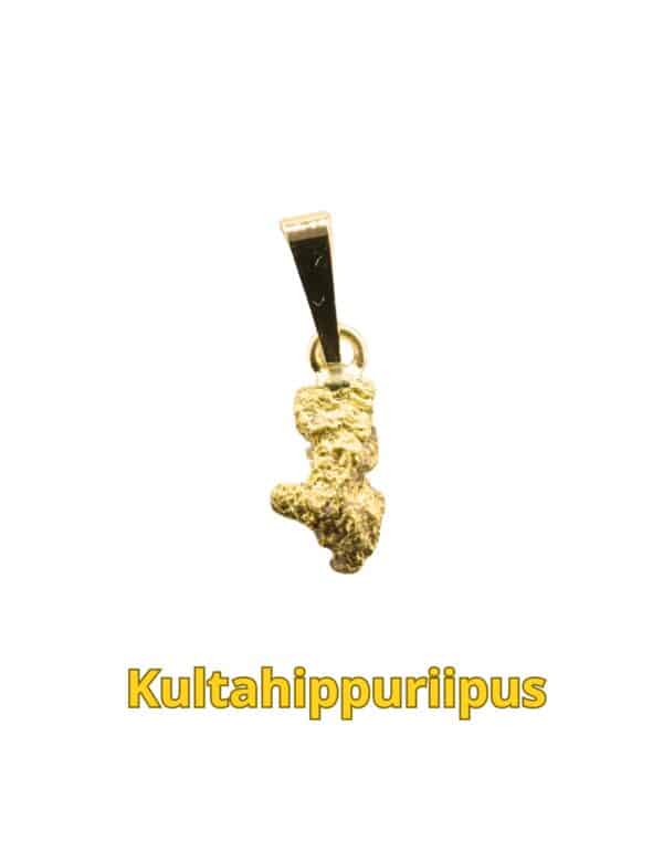 Kultahippuriipus Lemmenjoki koru 0.34g Arctic