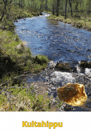 Kultahippu 0.07g 4x3mm Lemmenjoki Arctic Gold