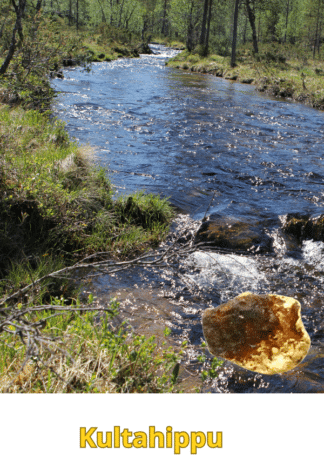 Kultahippu 0.07g 4x3mm Lemmenjoki Arctic Gold