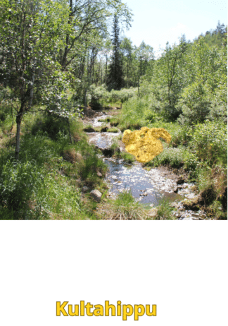 Kultahippu 0.17g 7x5mm Arctic Gold