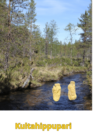 Kultahippuja 2kpl 6mm yht 0.33g korvariipukseksi Arctic