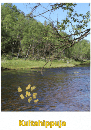 Kultahippuja 0.34g 8kpl  3-5mm Lapista