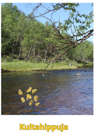 Kultahippuja 0.34g 8kpl  3-5mm Lapista