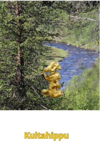 Kultahippu 0.08g 6mm Lemmenjoki Arctic Gold Lappi