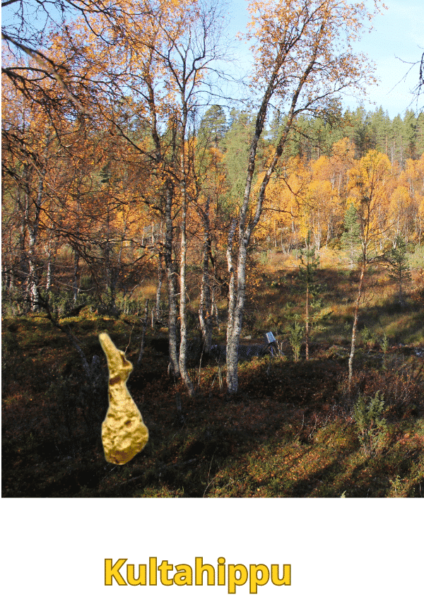 Kultahippu 0.09g 6mm Lemmenjoki Arctic Gold