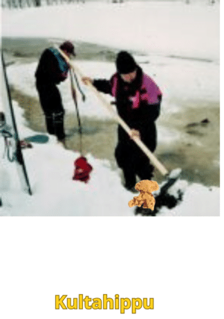 Kultahippu 0.13g 3x5mm Arctic Gold Lappi