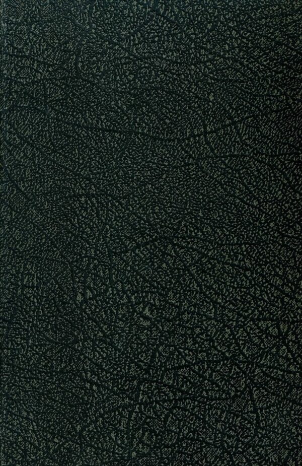 Tunturitulva : nuorisoromaani; Sauli Jalmari antikvariaatti kirja