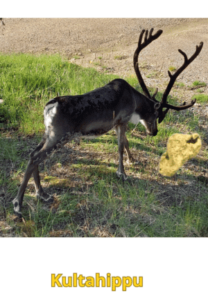 Kultahippu 0.11g 4mm Arctic Gold Lappi