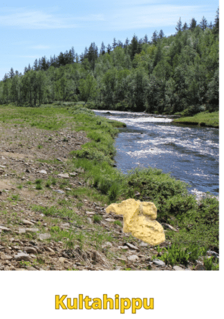 Kultahippu 0.11g 6x4mm Arctic Gold Lappi