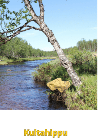 Kultahippu 0.12g 5x3mm Arctic Gold Lappi