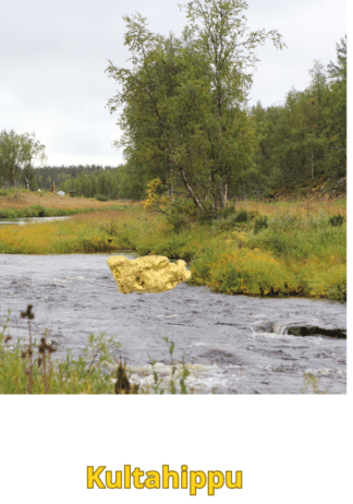 Kultahippu 0.13g 5mm Arctic Gold Lappi