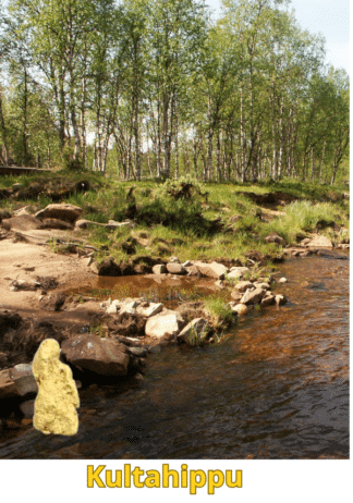 Kultahippu 0.13g 6mm Arctic Gold Lappi