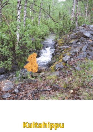 Kultahippu 0.14g 4x6mm Arctic Gold Lappi