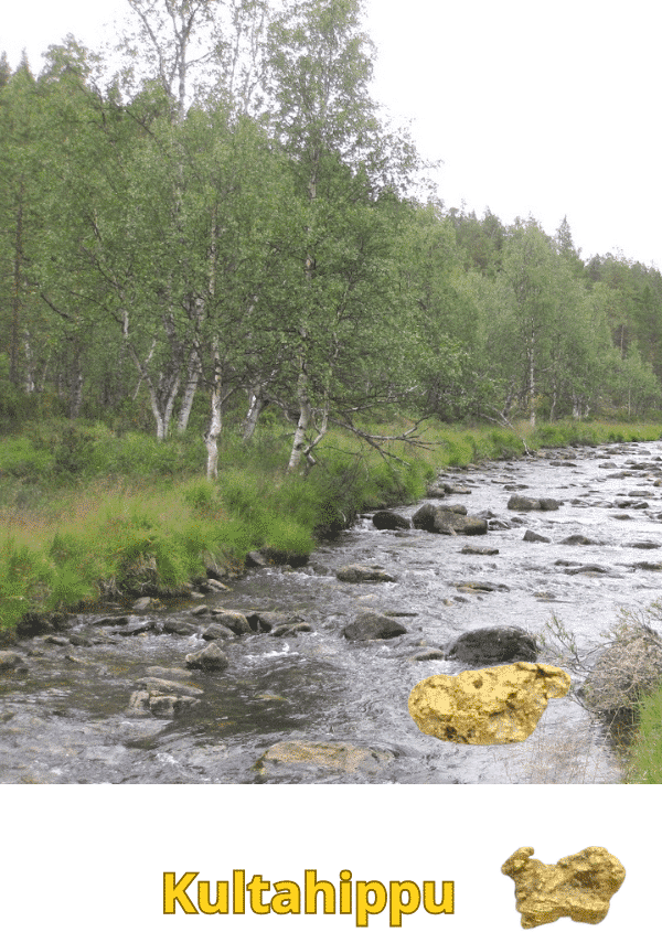 Kultahippu 0.18g 6x4mm Arctic Gold Lappi