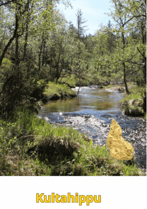 Kultahippu 0.19g 5x8mm Arctic Gold Lappi