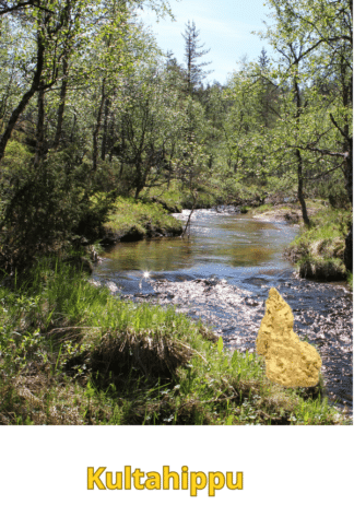 Kultahippu 0.19g 5x8mm Arctic Gold Lappi