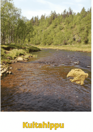 Kultahippu 0.22g 4x5mm Arctic Gold Lappi