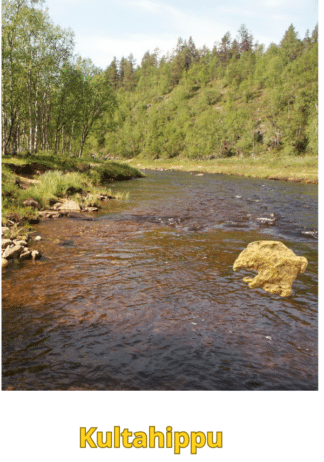 Kultahippu 0.22g 4x5mm Arctic Gold Lappi