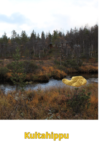 Kultahippu 0.26g 8mm Arctic Gold Lappi