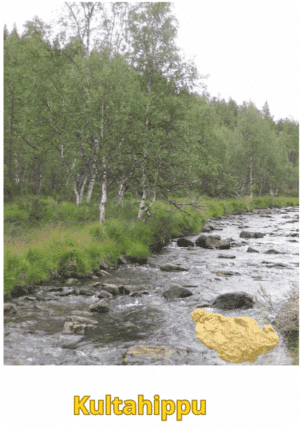 Kultahippu 0.09g 5x3mm Arctic Gold Lappi