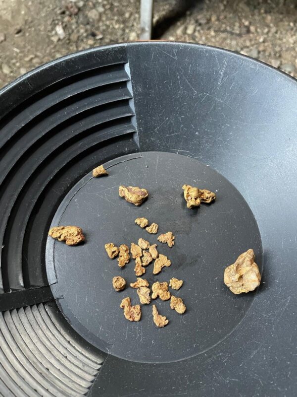 ISOMUS KULTAHIPPUJA Sotajoelta harvinaisia keräilyhippuja