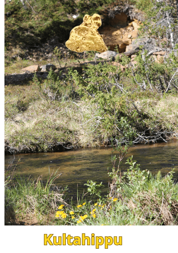 Kultahippu 0.07g 4x3mm Lemmenjoki Arctic Gold