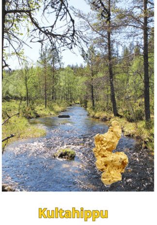 Kultahippu 0.13g 6mm Lemmenjoki Arctic Gold