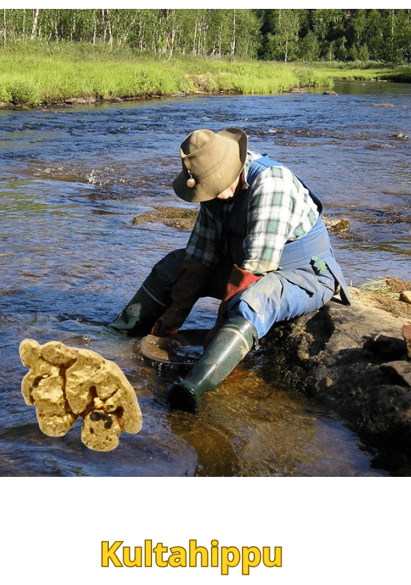 Kultahippu 0.19g 4x5mm Lemmenjoki Arctic Gold