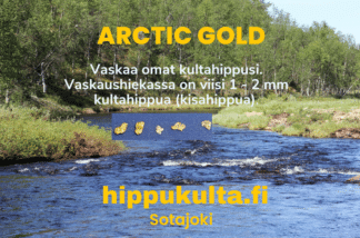 Kultahippuja 5 kpl vaskaushiekassa 1-2mm Arctic Gold