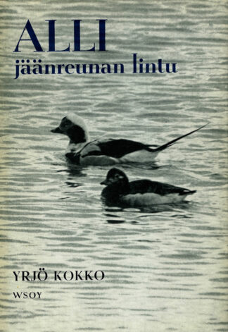 ALLI jäänreunan lintu; Kokko Yrjö antikvariaattikirja